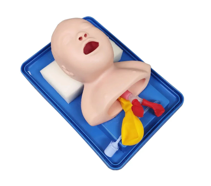 NEONATAL TRACHEAL INTUBATION MODEL INFANT TRAINING SIMULATION MODEL EDUCATION MEDICAL EQUIPMENT  